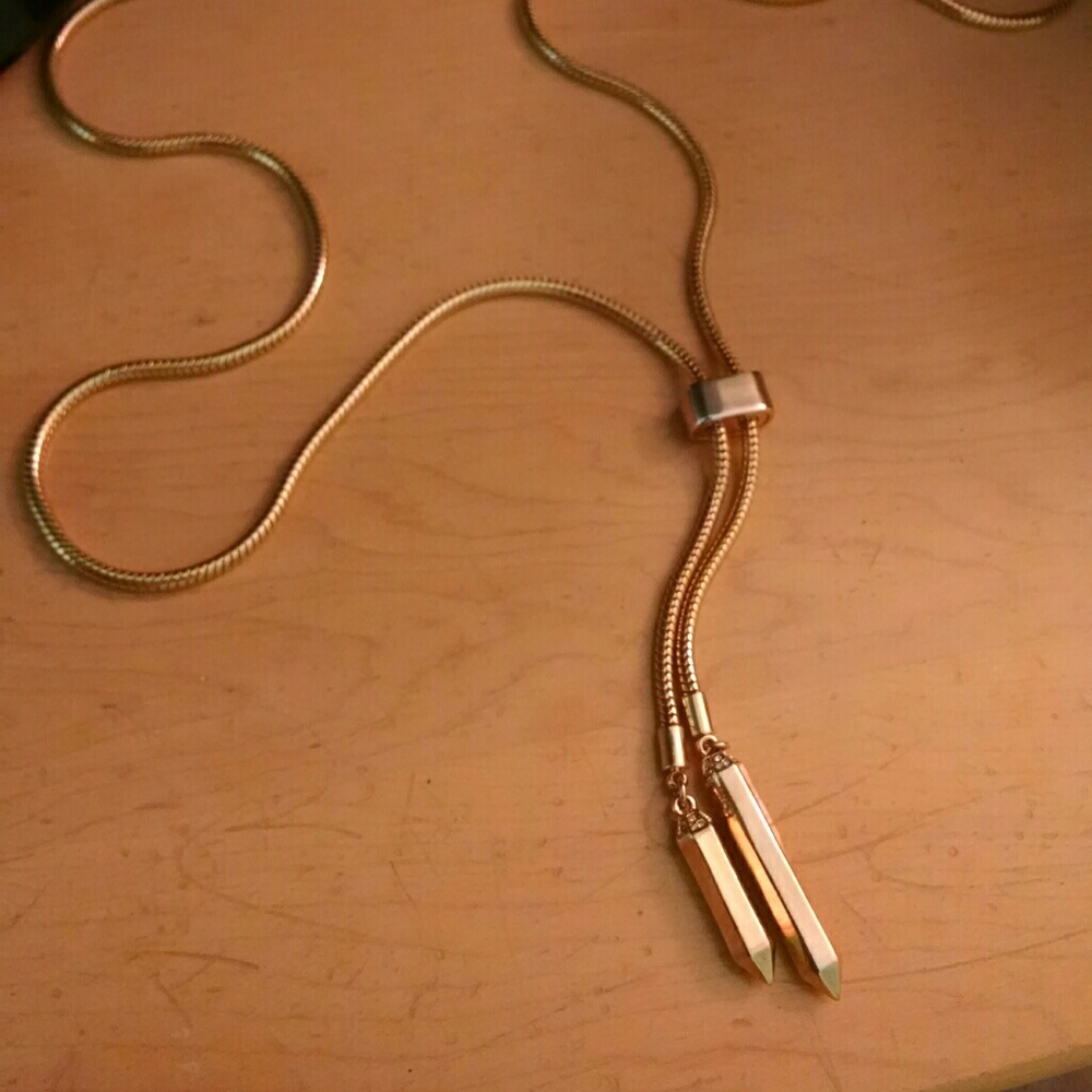 Gorgeous long gold necklace from Ann Taylor